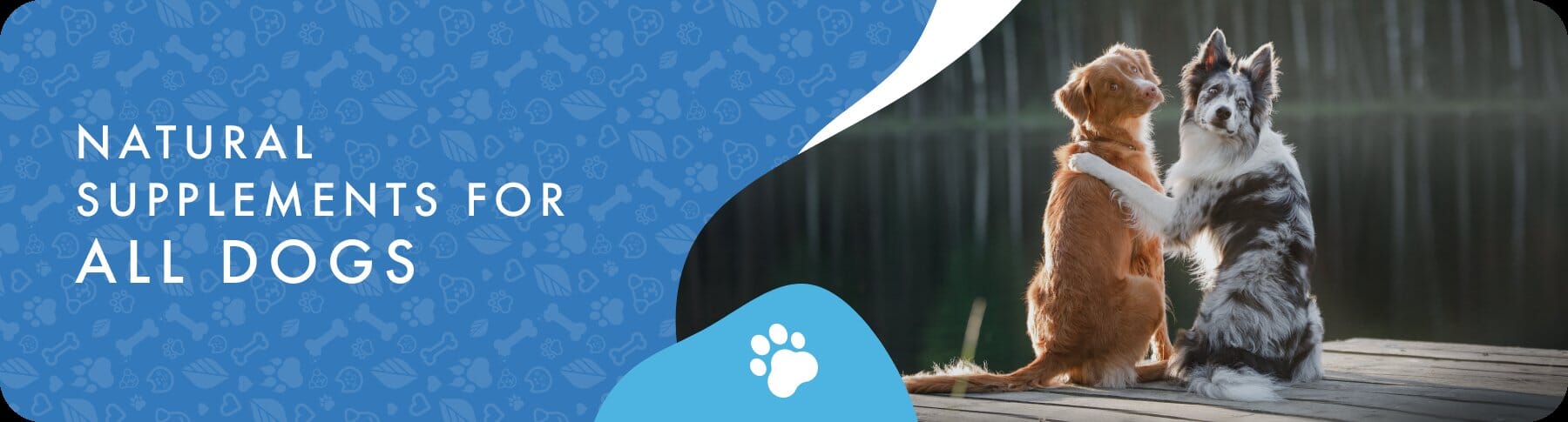 Natural Supplements for Dogs & Puppies