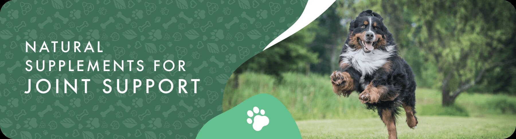 Arthritis & Joint Care