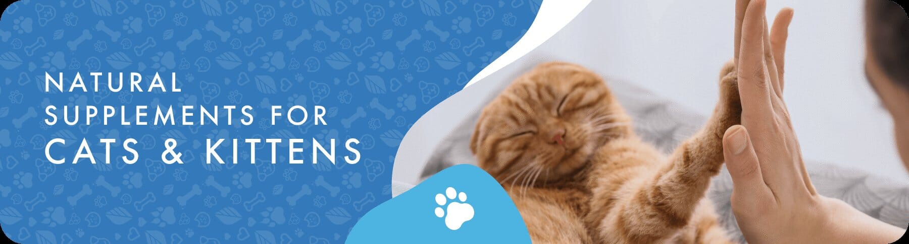 Cat Health