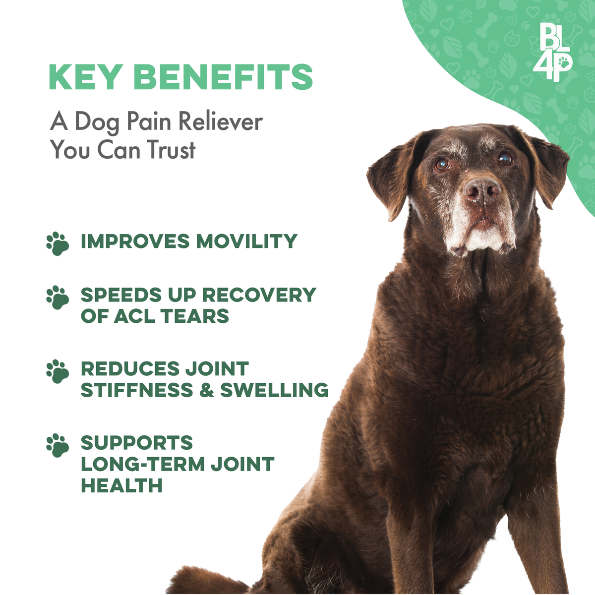 Paquete de salud y movilidad articular para perros (artritis, dolor de cadera, problemas de movilidad)