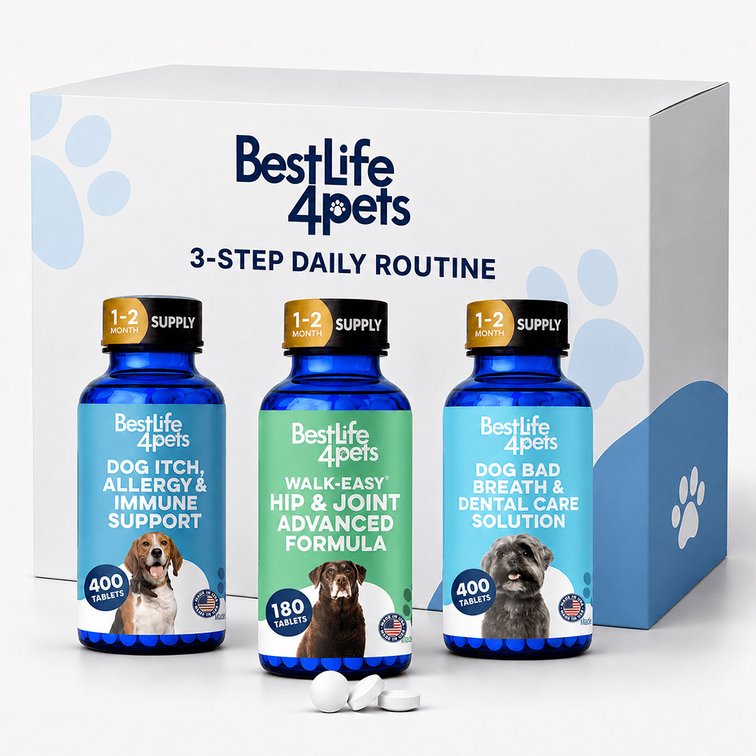 Dog Anti-Aging Routine BestLife4Pets 