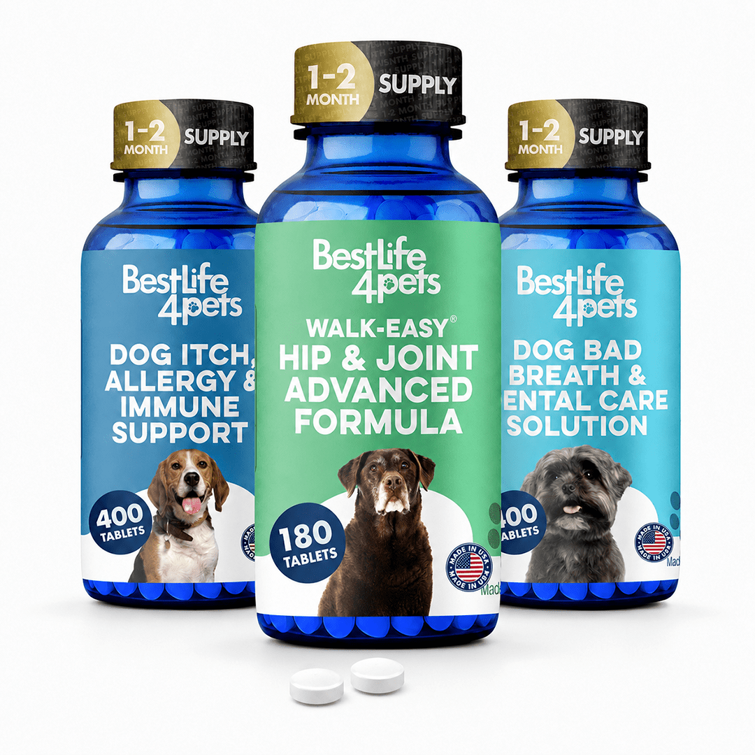 Dog Anti-Aging Routine BestLife4Pets 