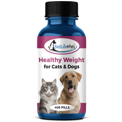 Safe Natural Weight Loss Supplement for Dogs & Cats - Helps Control Appetite for Overweight Pets BestLife4Pets 