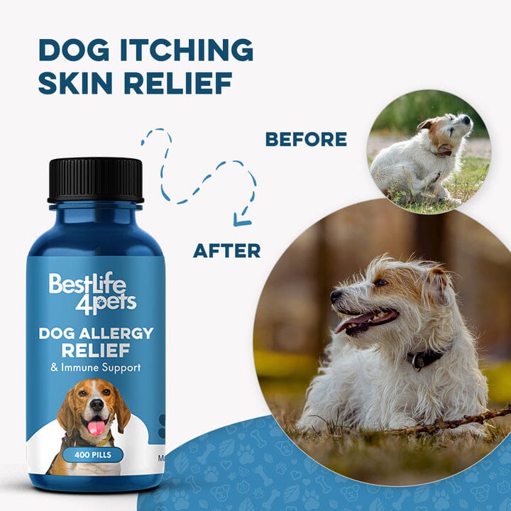 Dog Allergy & Immune Support Remedy BestLife4Pets 