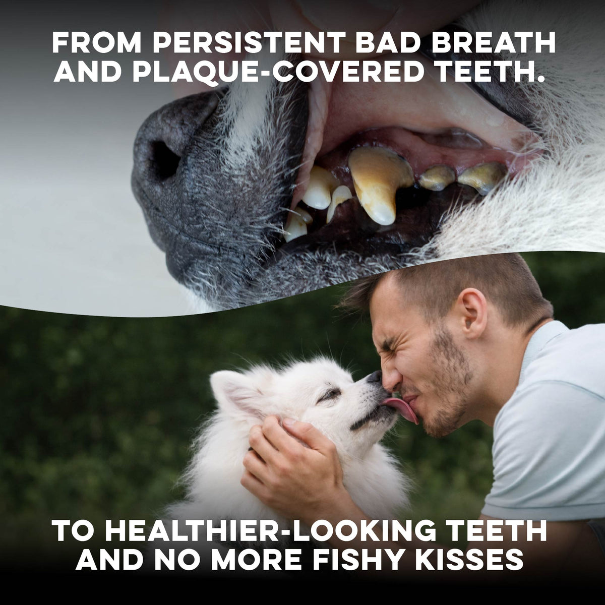 Dog Bad Breath & Dental Care Remedy