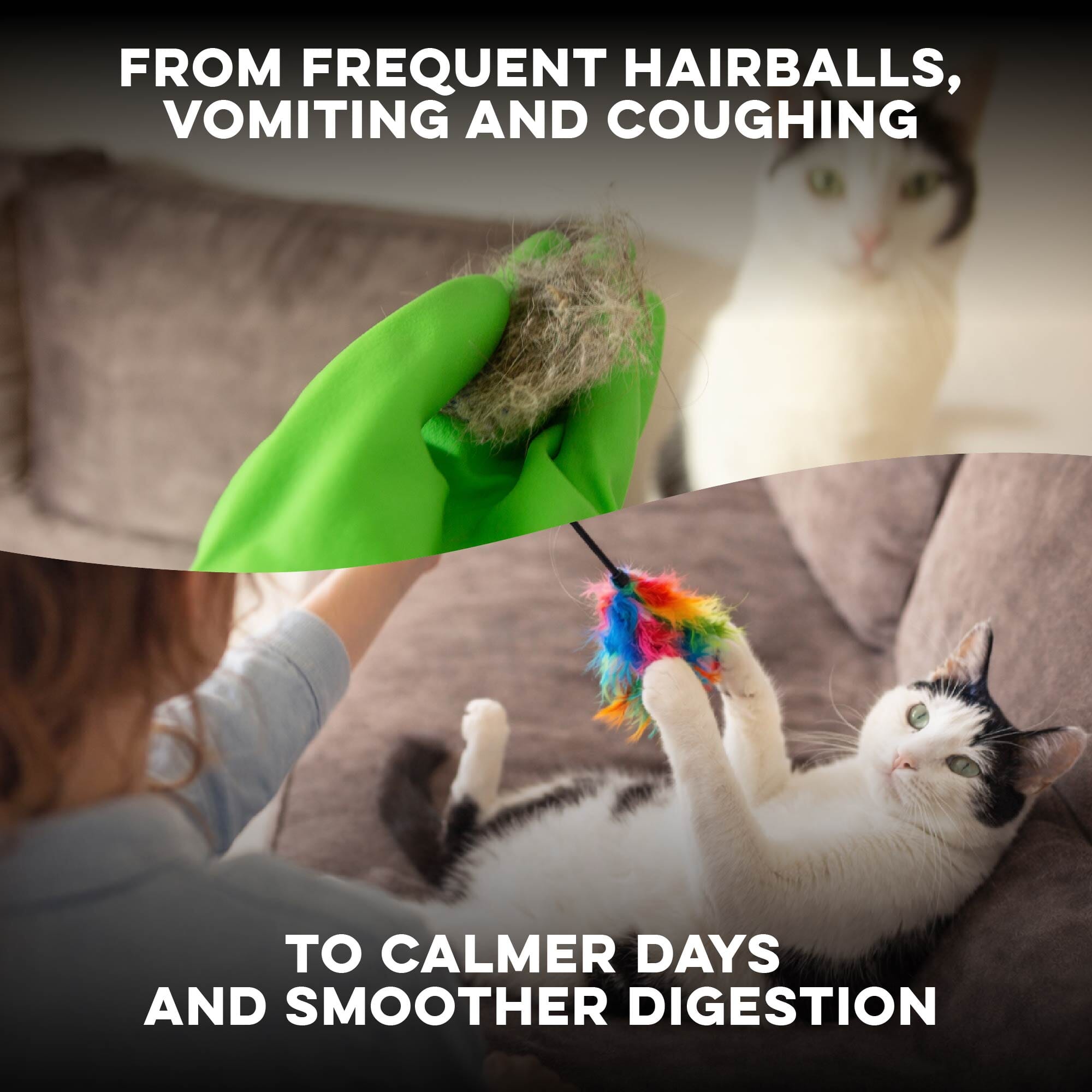 Hairball B-Gone for Cats BestLife4Pets 