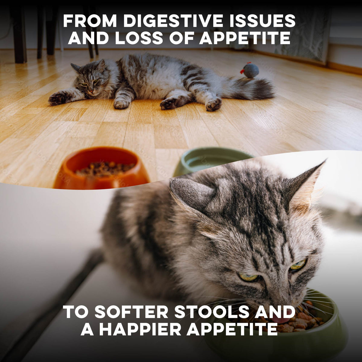 Cat Laxative & Constipation Remedy