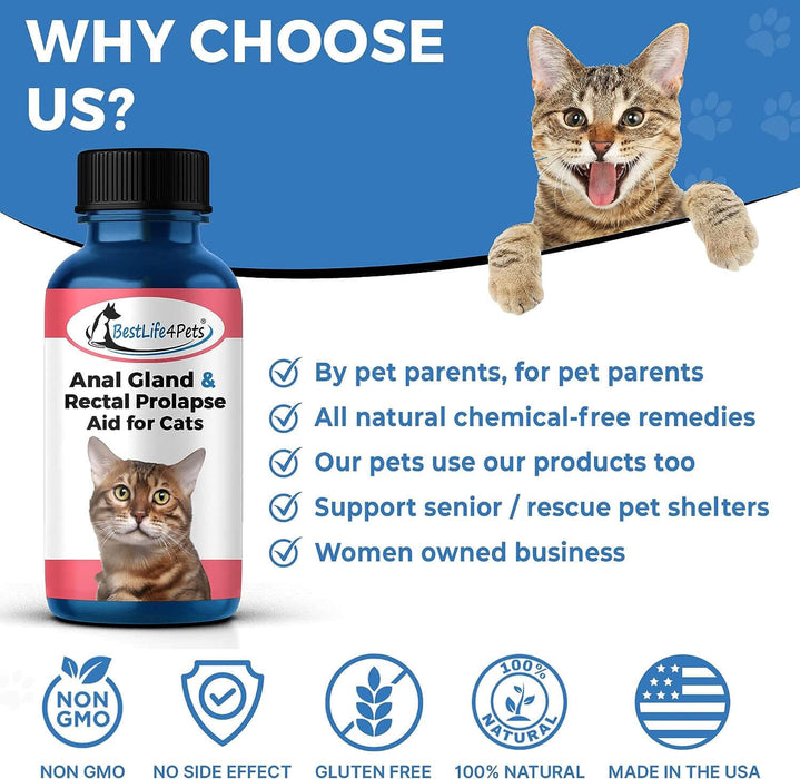 Cat Anal Gland Supplement & Prolapse Remedy Media 7 of 7