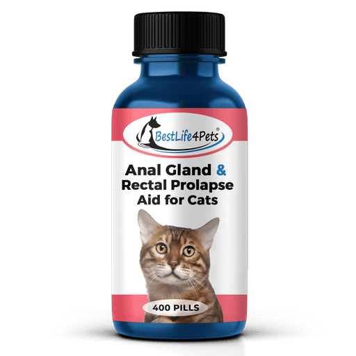 Best laxative for cats deals
