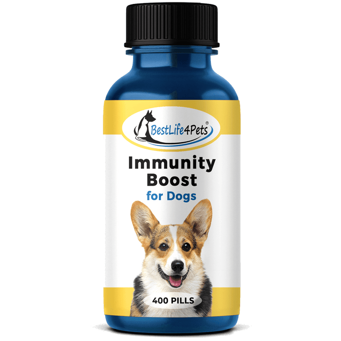 Dog Immune Support Supplement - Boosts Immune System in Small & Large Dog Breeds BestLife4Pets 