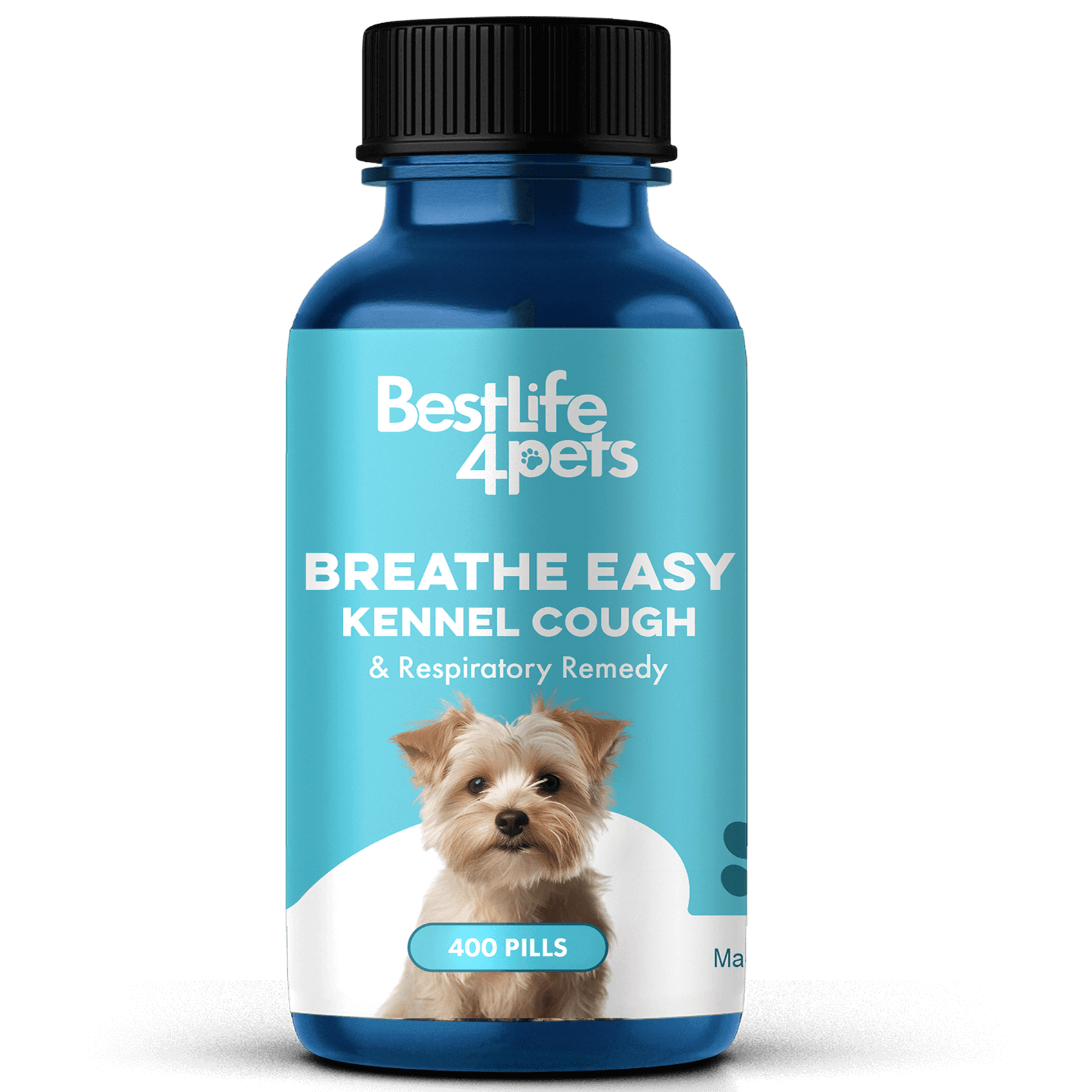 Dog Kennel Cough, Decongestant & Respiratory Support // BestLife4Pets