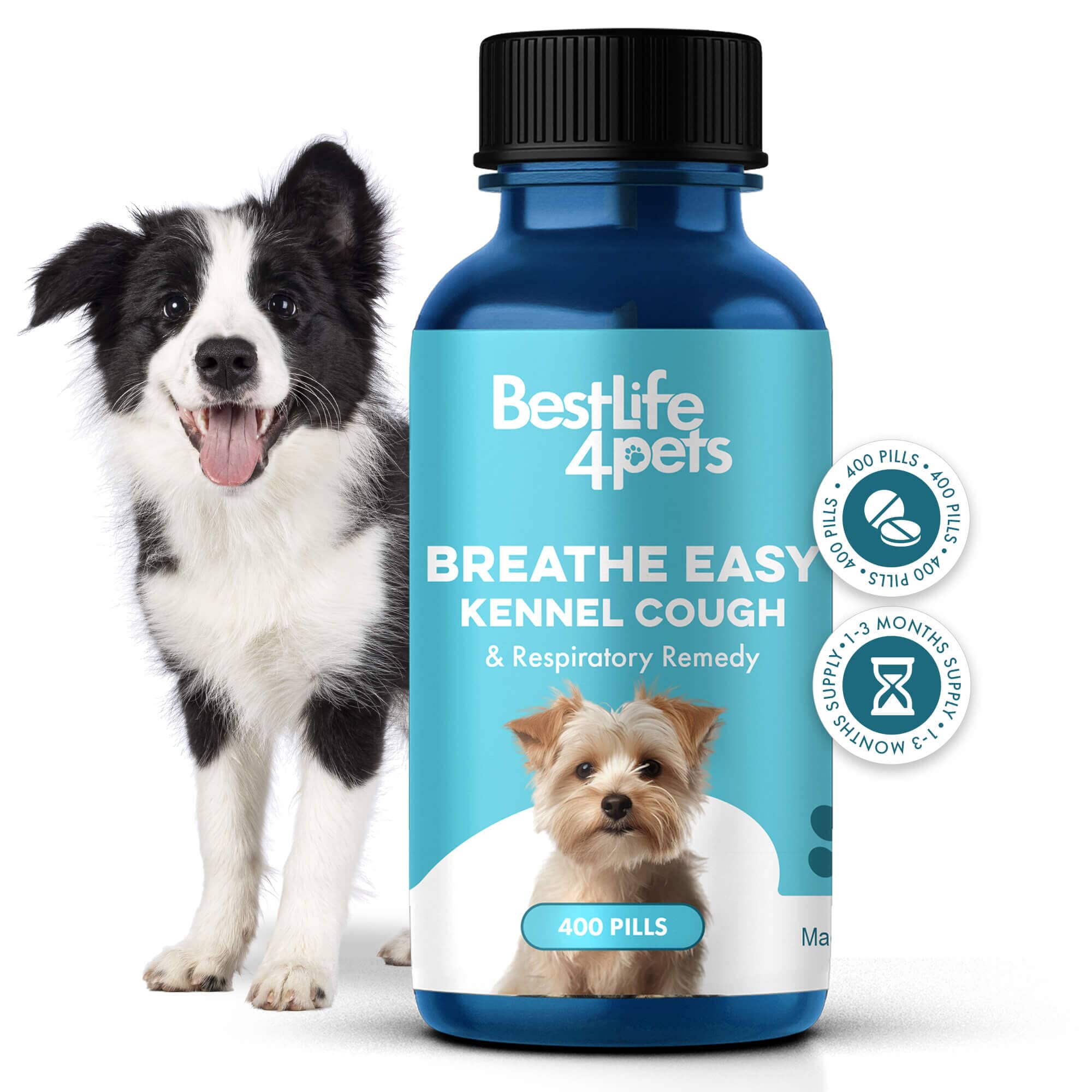 Dog Kennel Cough, Decongestant Respiratory Support