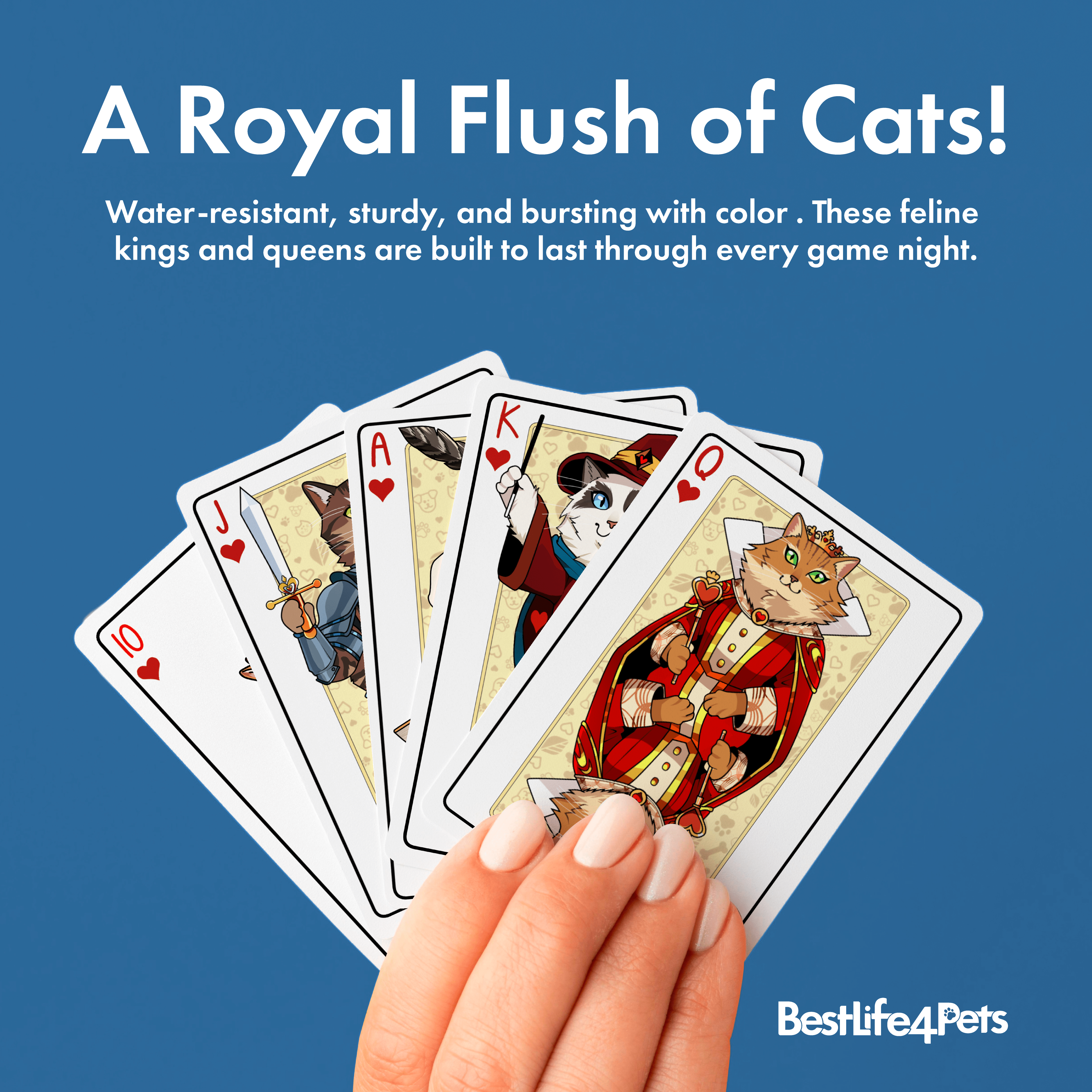 Cat Playing Cards – A Fun Gift for Cat Lovers BestLife4Pets 