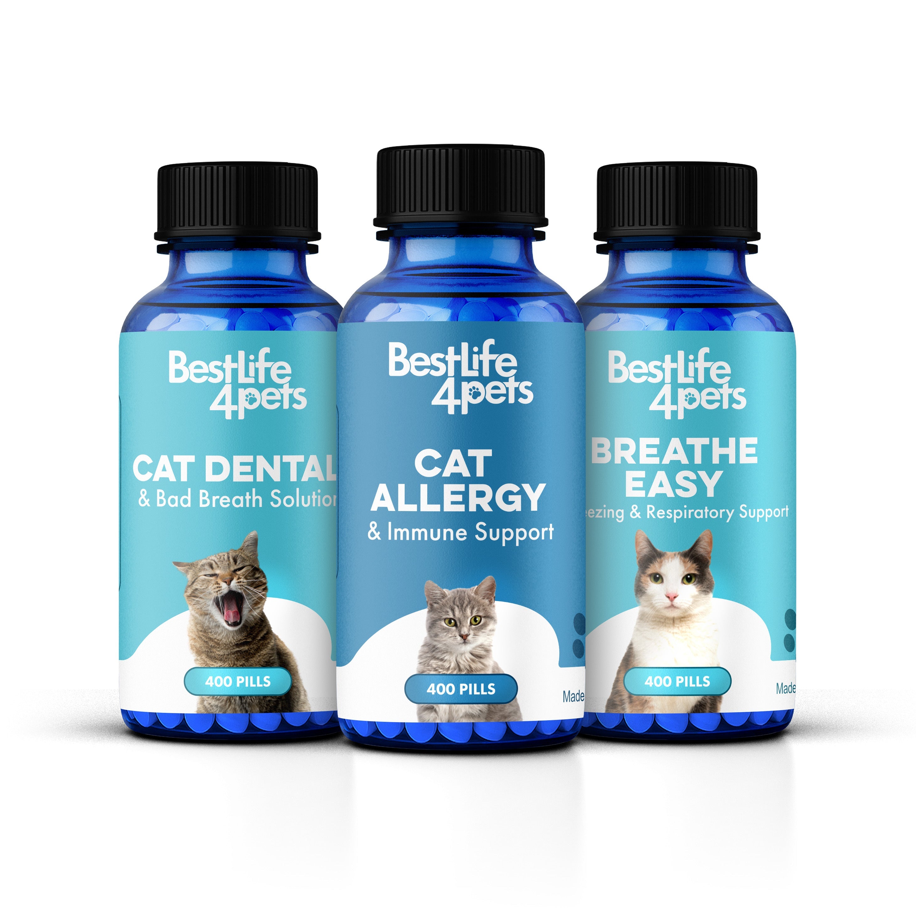 Cat Essentials Bundle (One-Time Only)