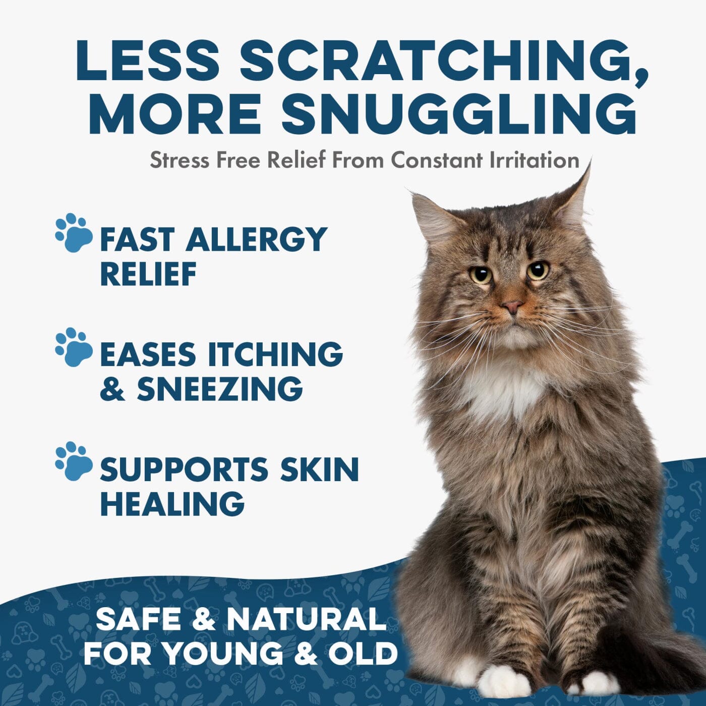 Cat Allergy Relief & Immune Support Remedy BestLife4Pets 