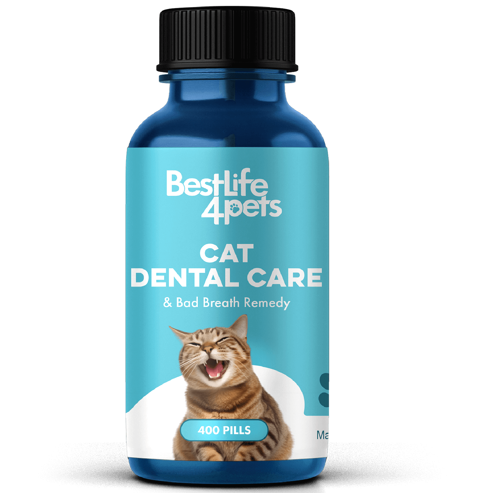 Cat gingivitis treatment cost online