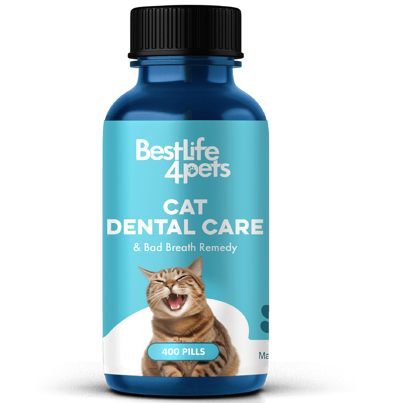 Cat Gingivitis Treatment