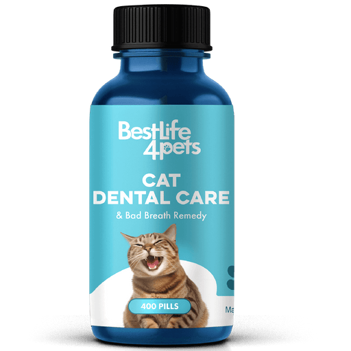 Cat Dental Care and Bad Breath Remedy - Natural Solution for Better Feline Oral Health BestLife4Pets 
