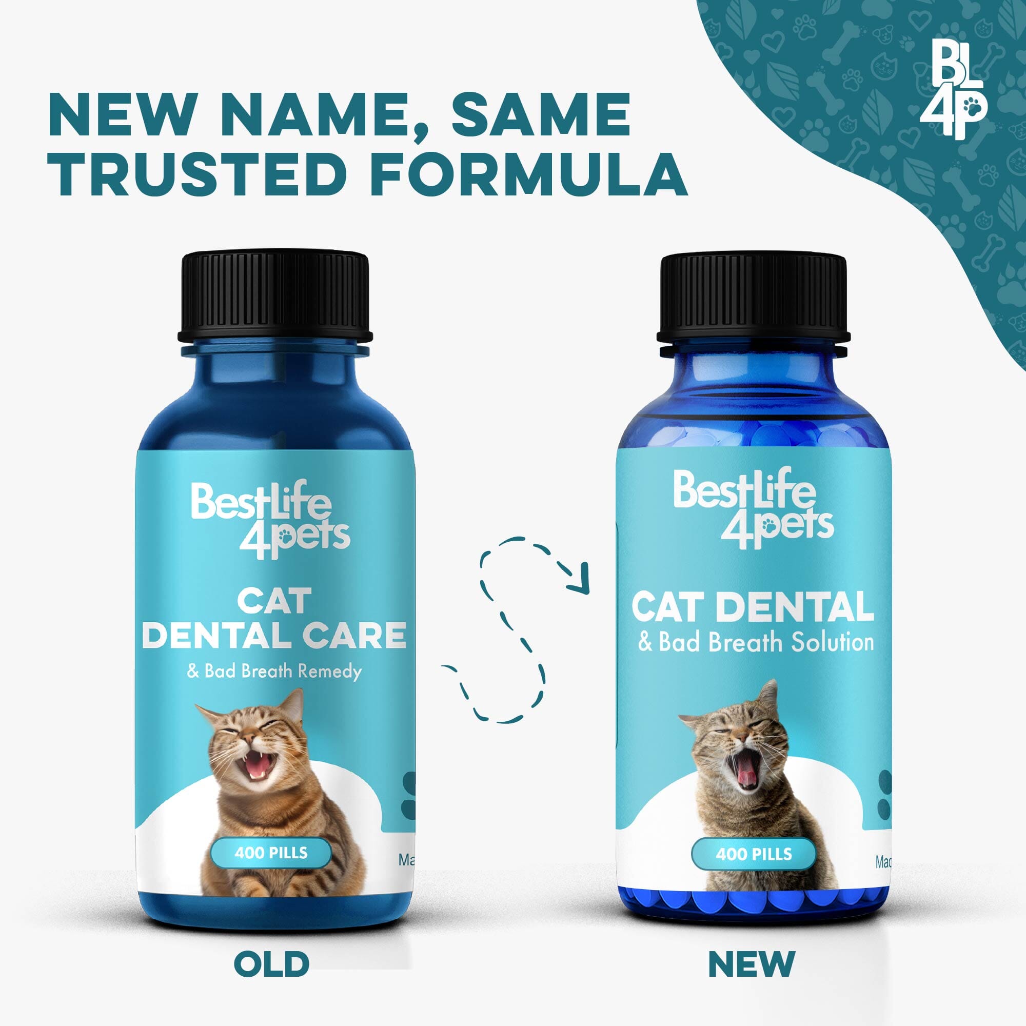 Cat Dental Care & Bad Breath Remedy BestLife4Pets 