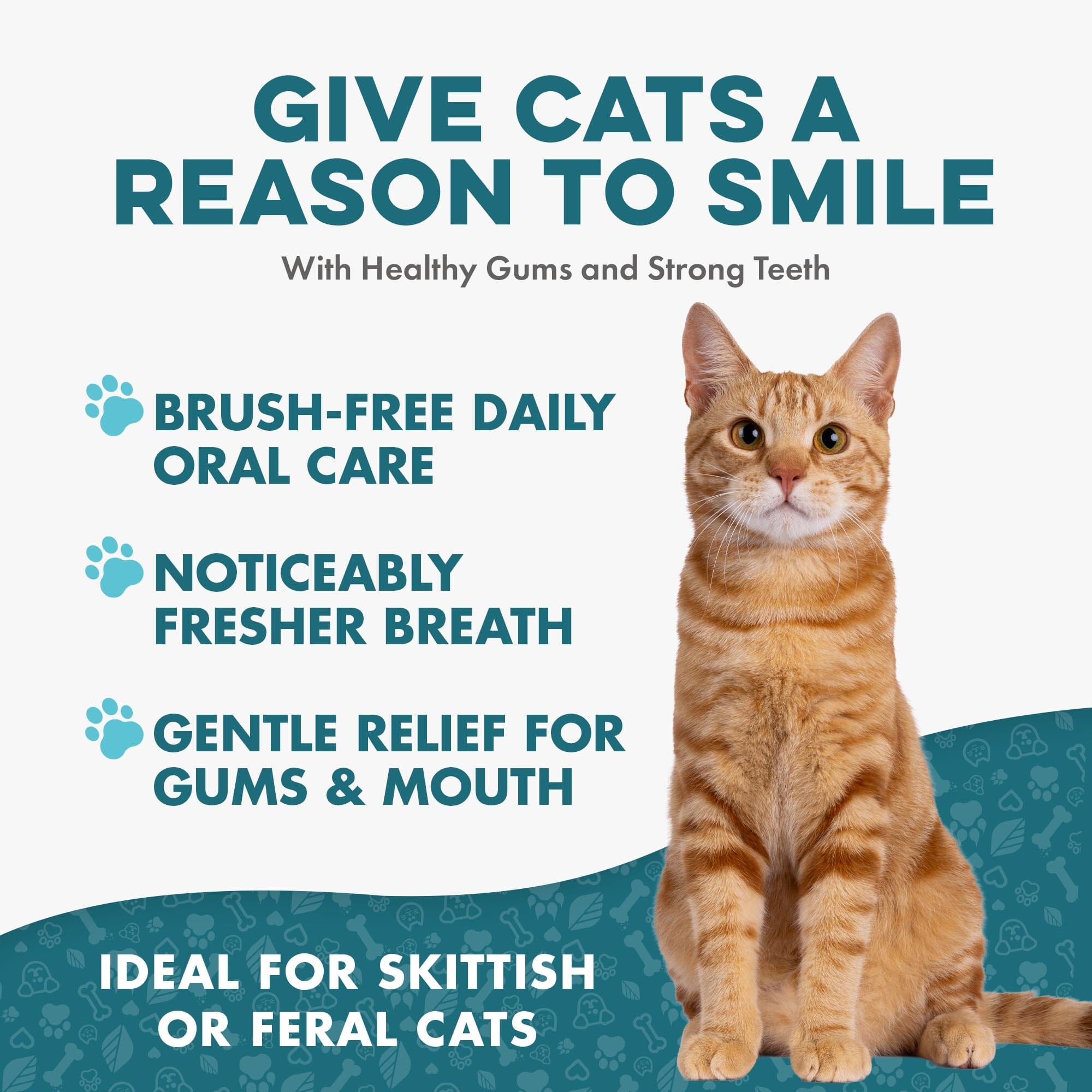Cat Dental Care & Bad Breath Remedy BestLife4Pets 