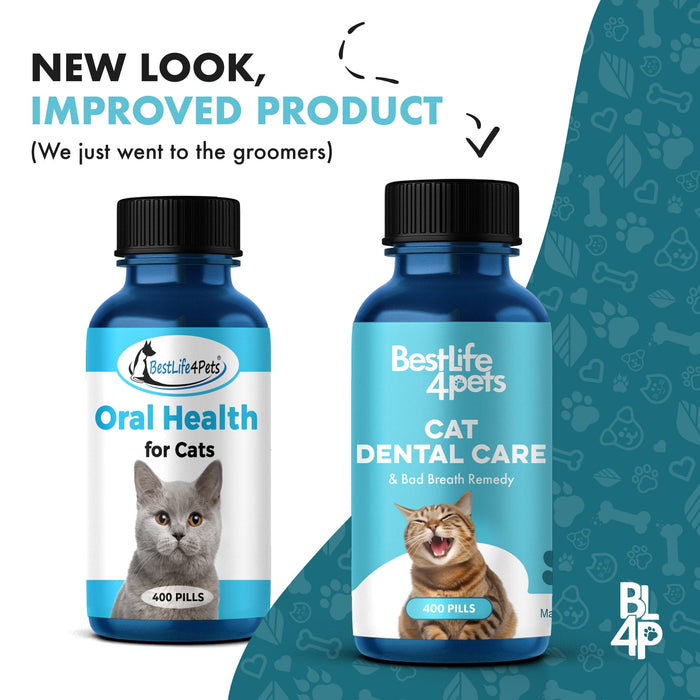 Oral Health Care for Cats - Natural Stomatitis, Gum Disease and Gingivitis Solution BestLife4Pets 