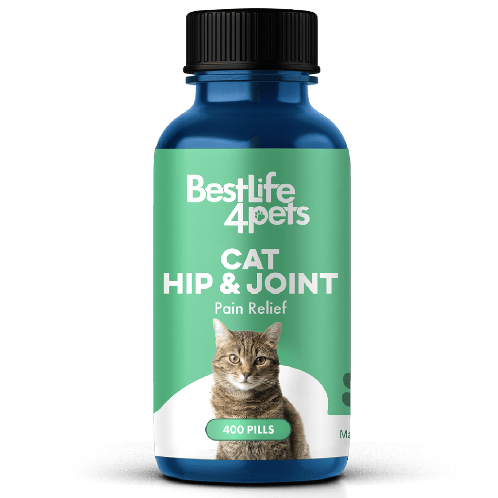 Cat Hip and Joint Pain Relief - Effective Anti-inflammatory and Arthritis Pain Medicine BestLife4Pets 
