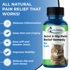 Cat Hip and Joint Pain Relief - Effective Anti-inflammatory and Arthritis Pain Medicine BestLife4Pets 