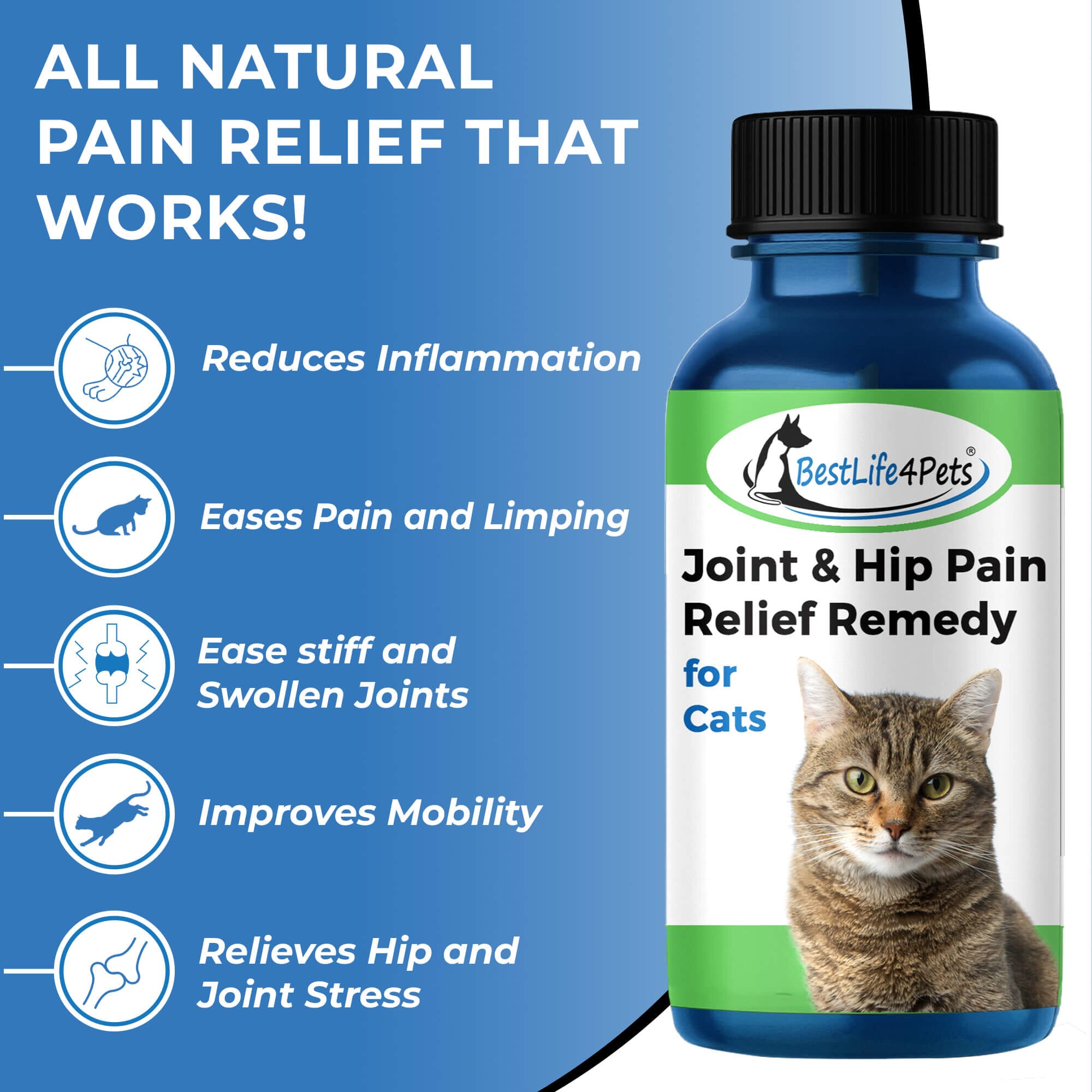 Illustration of Cat Kidney Stone Pain Natural Pain Relief