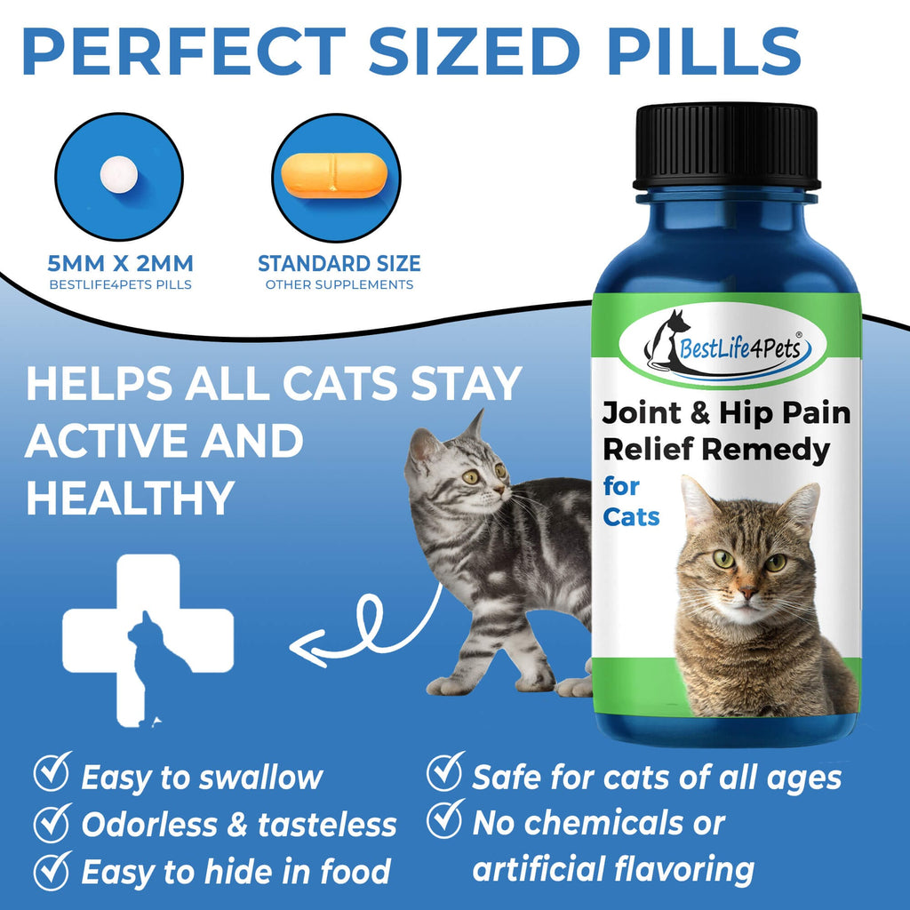 Cat Hip and Joint Pain Relief Effective Antiinflammatory and Arthri