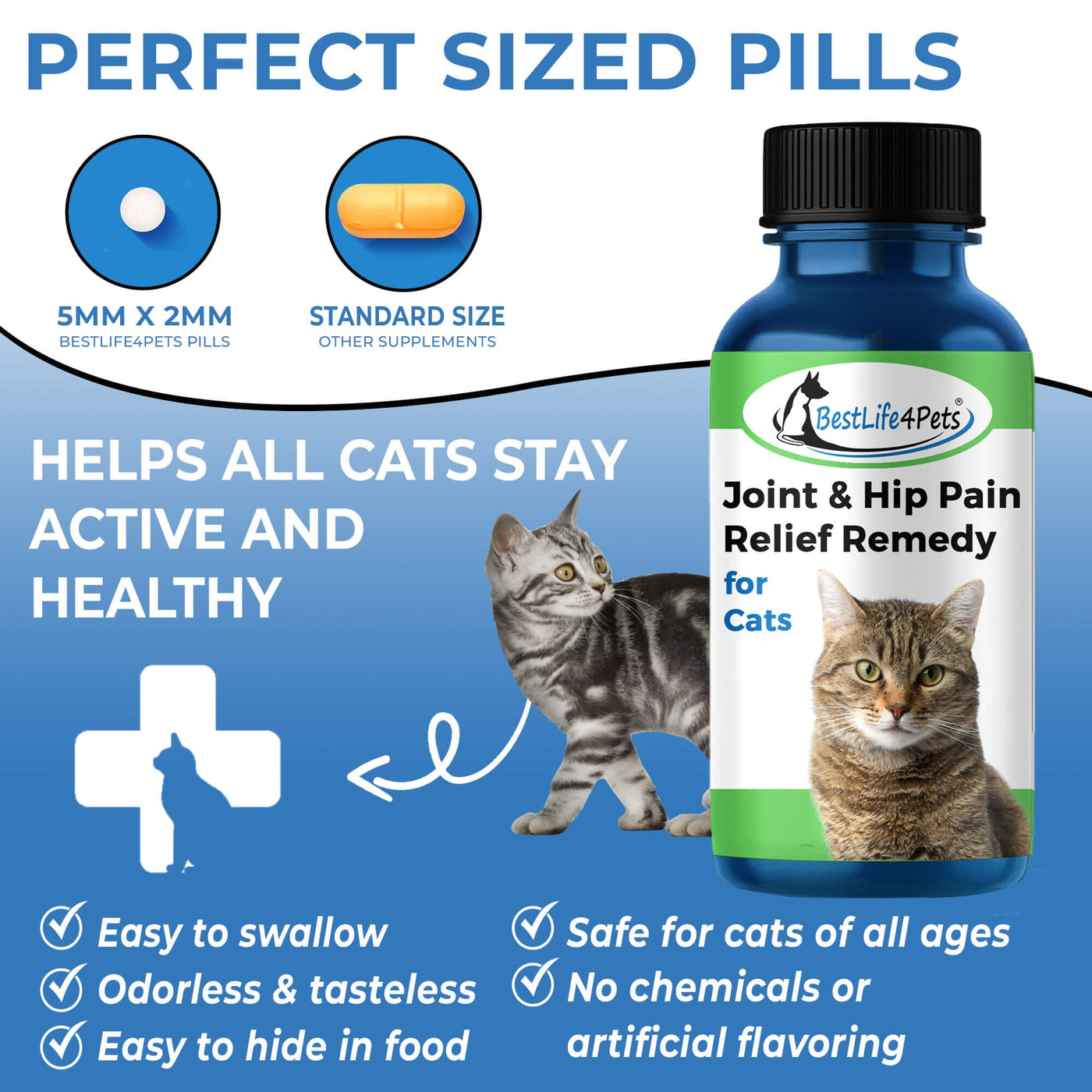 Cat Hip and Joint Pain Relief Effective Antiinflammatory and Arthri