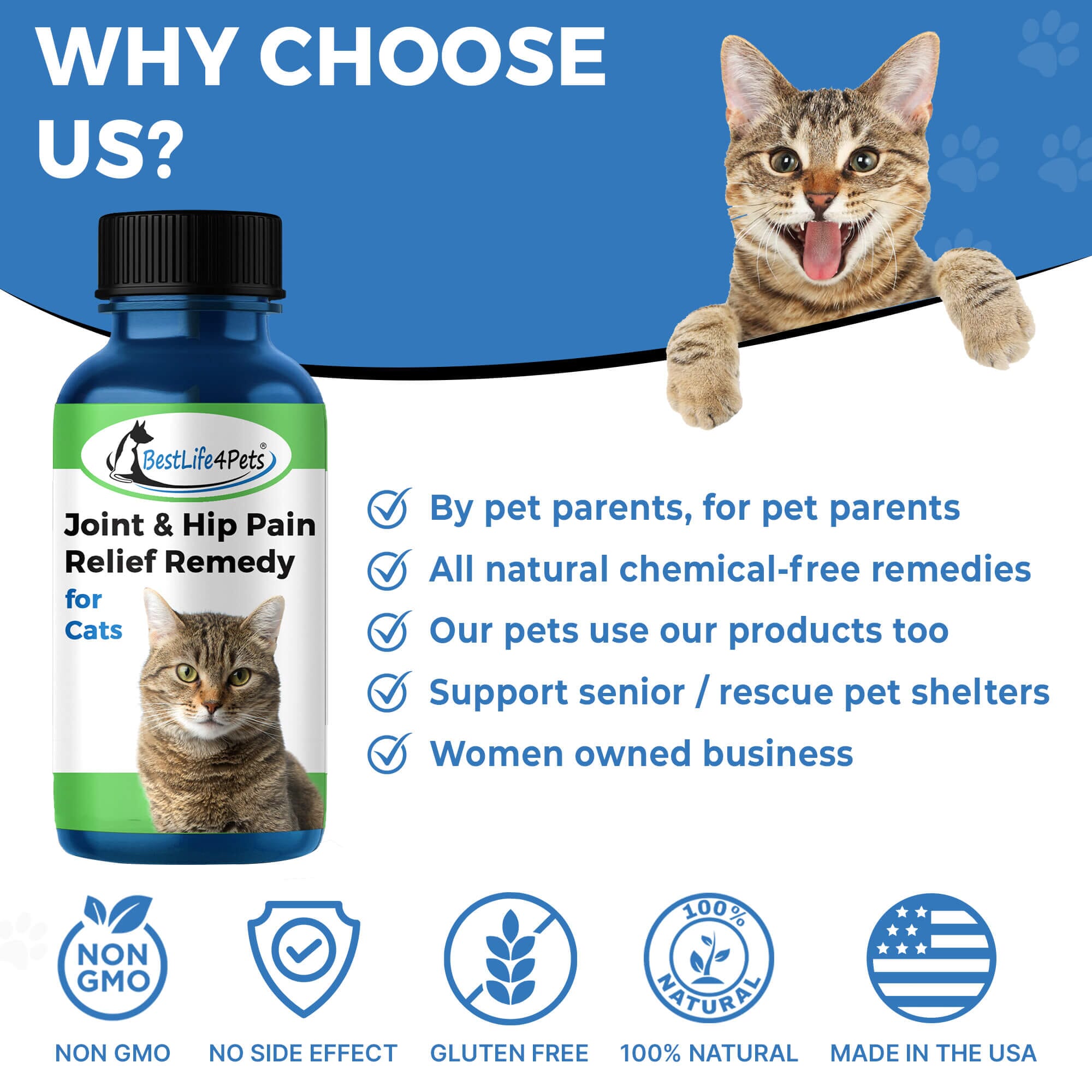 Cat Hip and Joint Pain Relief Effective Antiinflammatory and Arthri