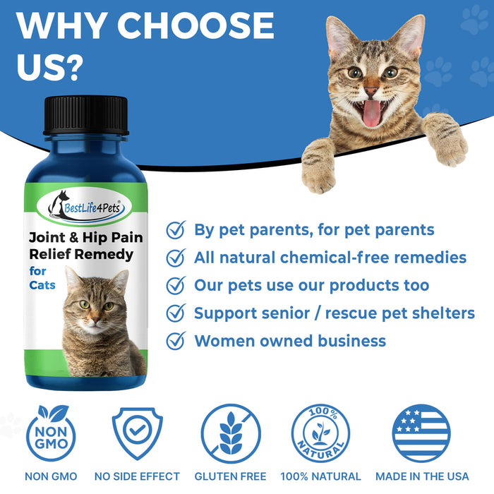 Cat Hip and Joint Pain Relief - Effective Anti-inflammatory and Arthritis Pain Medicine BestLife4Pets