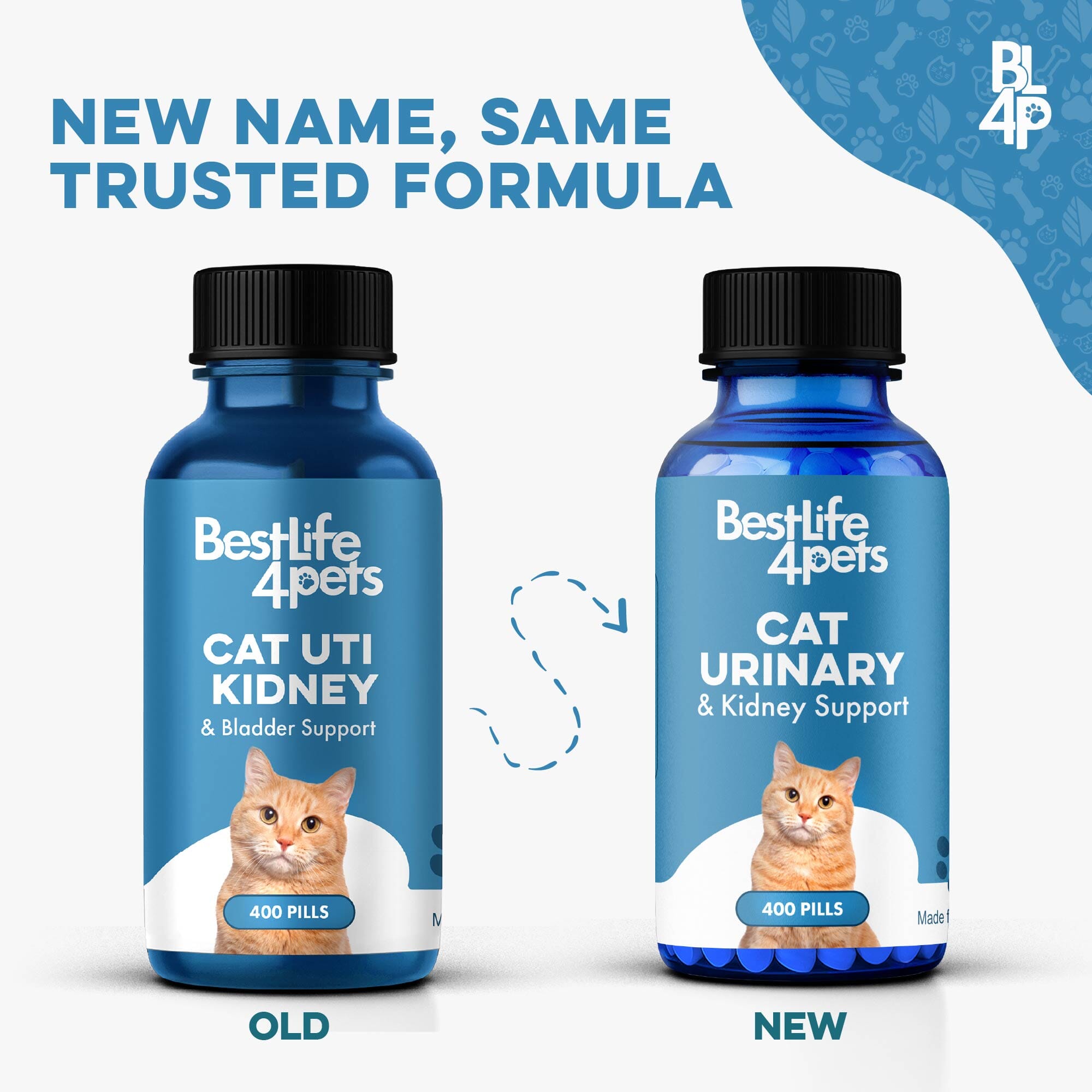 Cat UTI & Kidney Support Remedy BestLife4Pets 