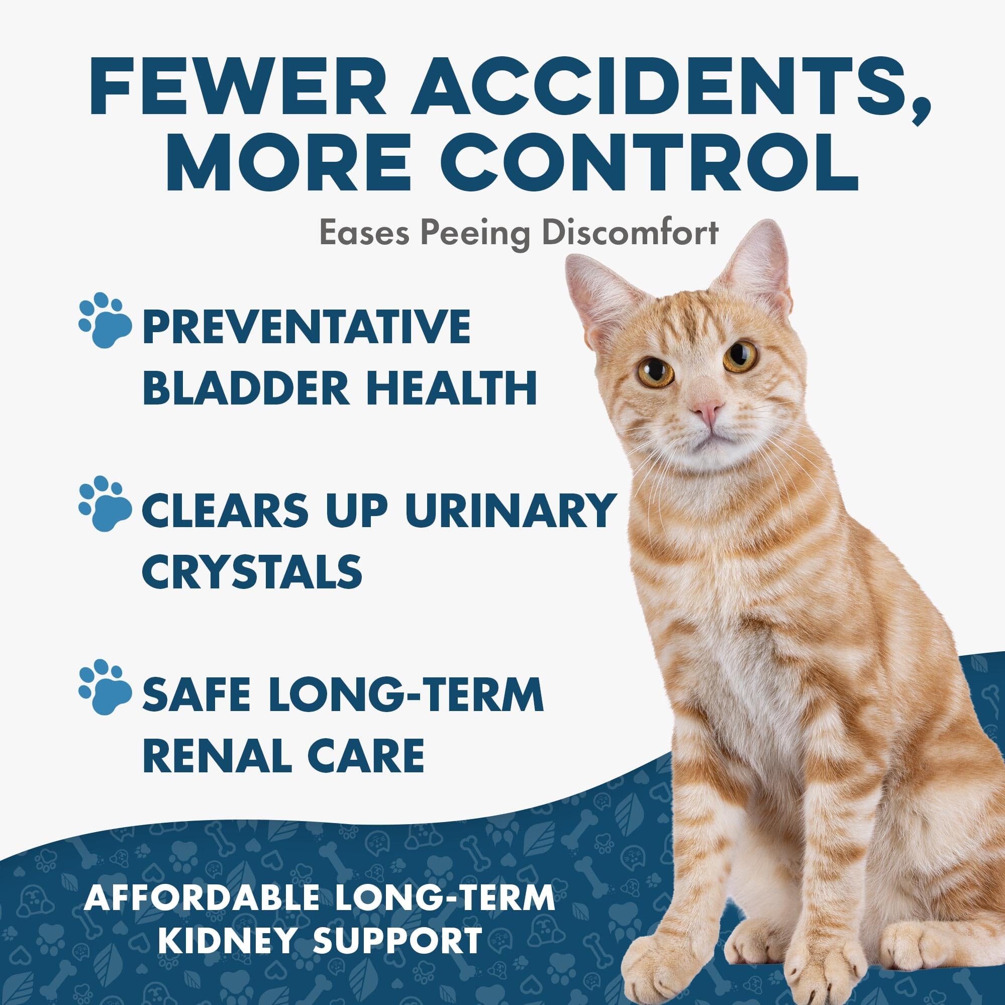 Cat UTI & Kidney Support Remedy BestLife4Pets 