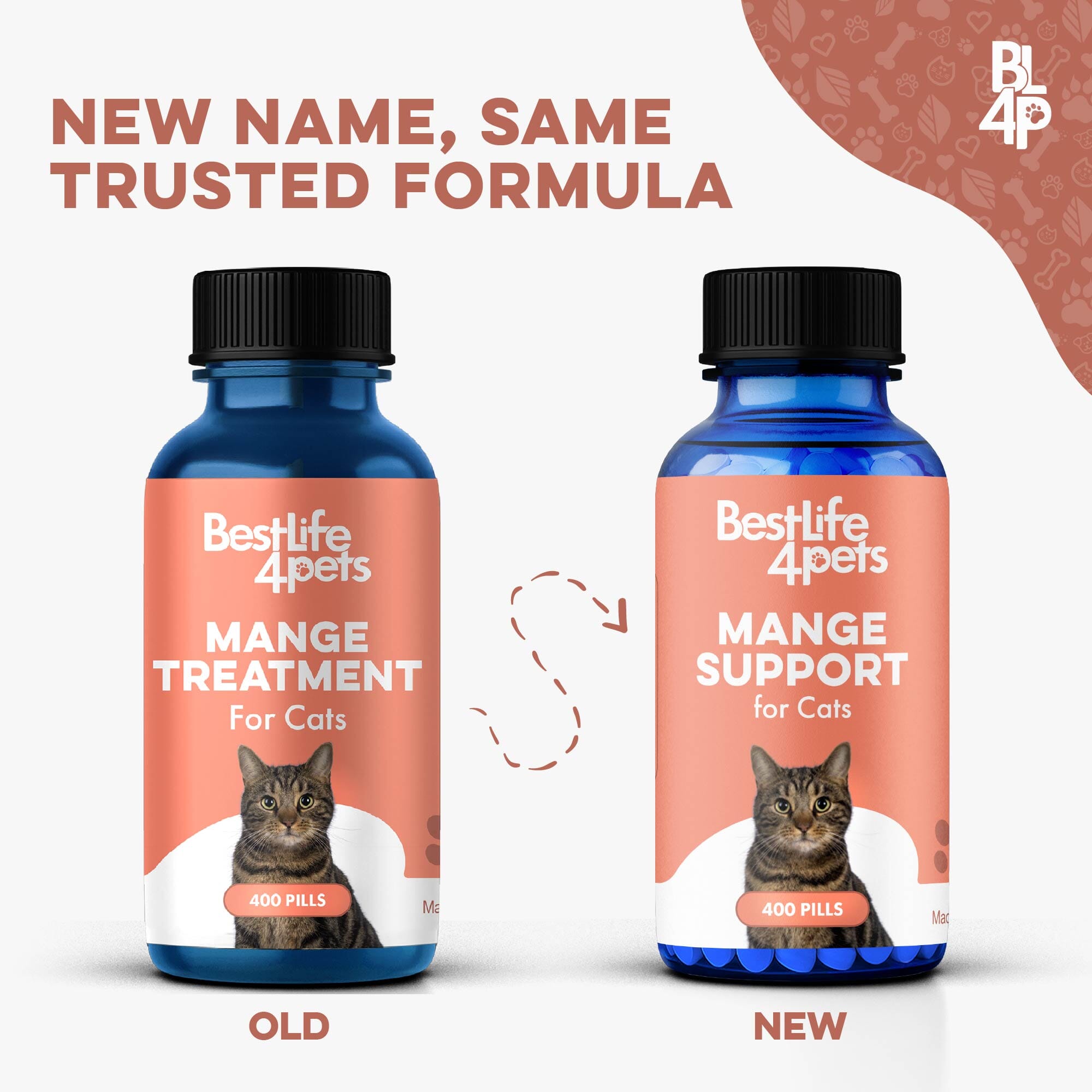 Cat Mange Treatment | Sarcoptic, Demodectic & Ear Mites BestLife4Pets 