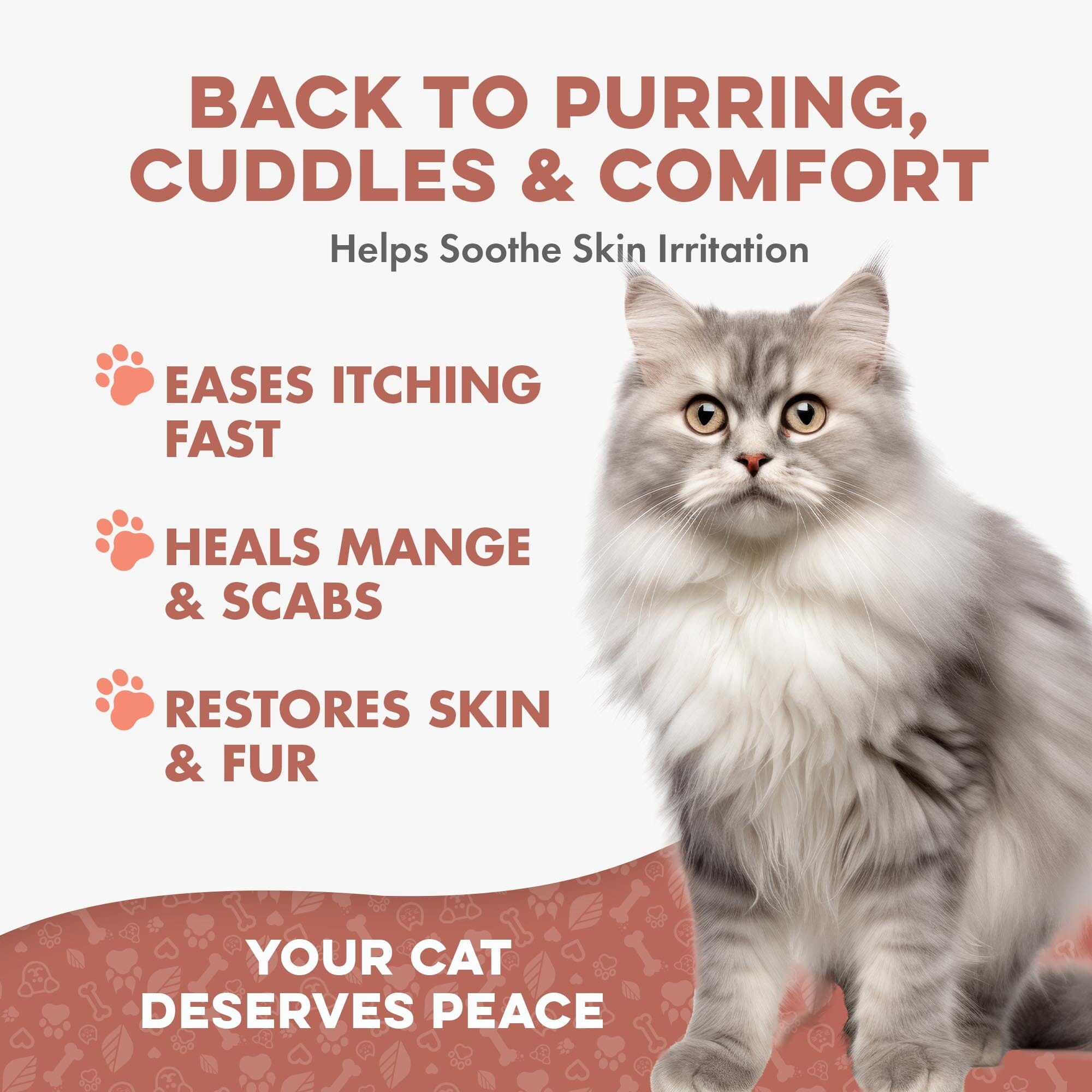 Cat Mange Treatment | Sarcoptic, Demodectic & Ear Mites BestLife4Pets 