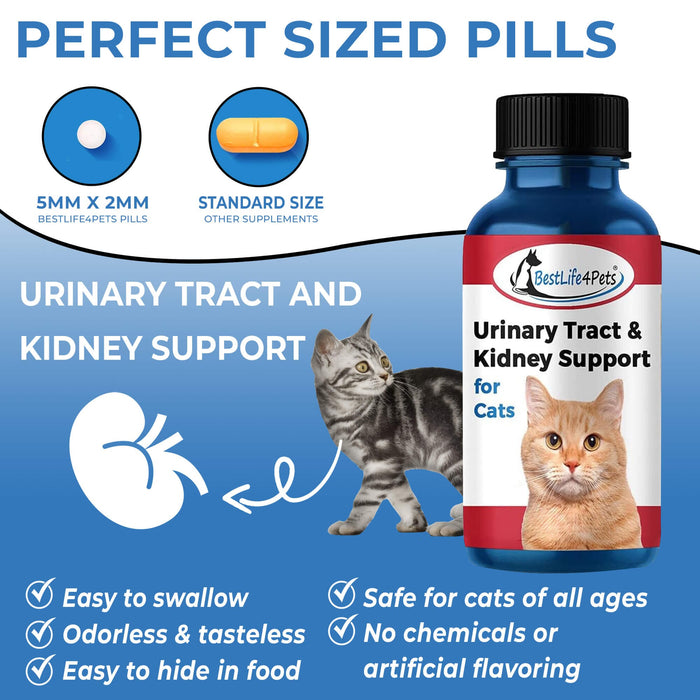 Natural Cat UTI Remedy - Feline Kidney Stones, Bladder & Kidney Infection Treatment