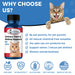 Natural Cat UTI Remedy - Feline Kidney Stones, Bladder & Kidney Infection Treatment