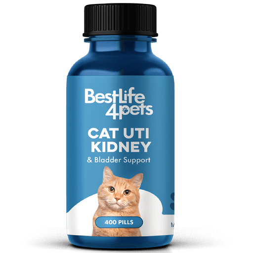 Natural Cat UTI & Kidney Remedy - Reduces Infections and Supports Optimal Bladder Function BestLife4Pets 