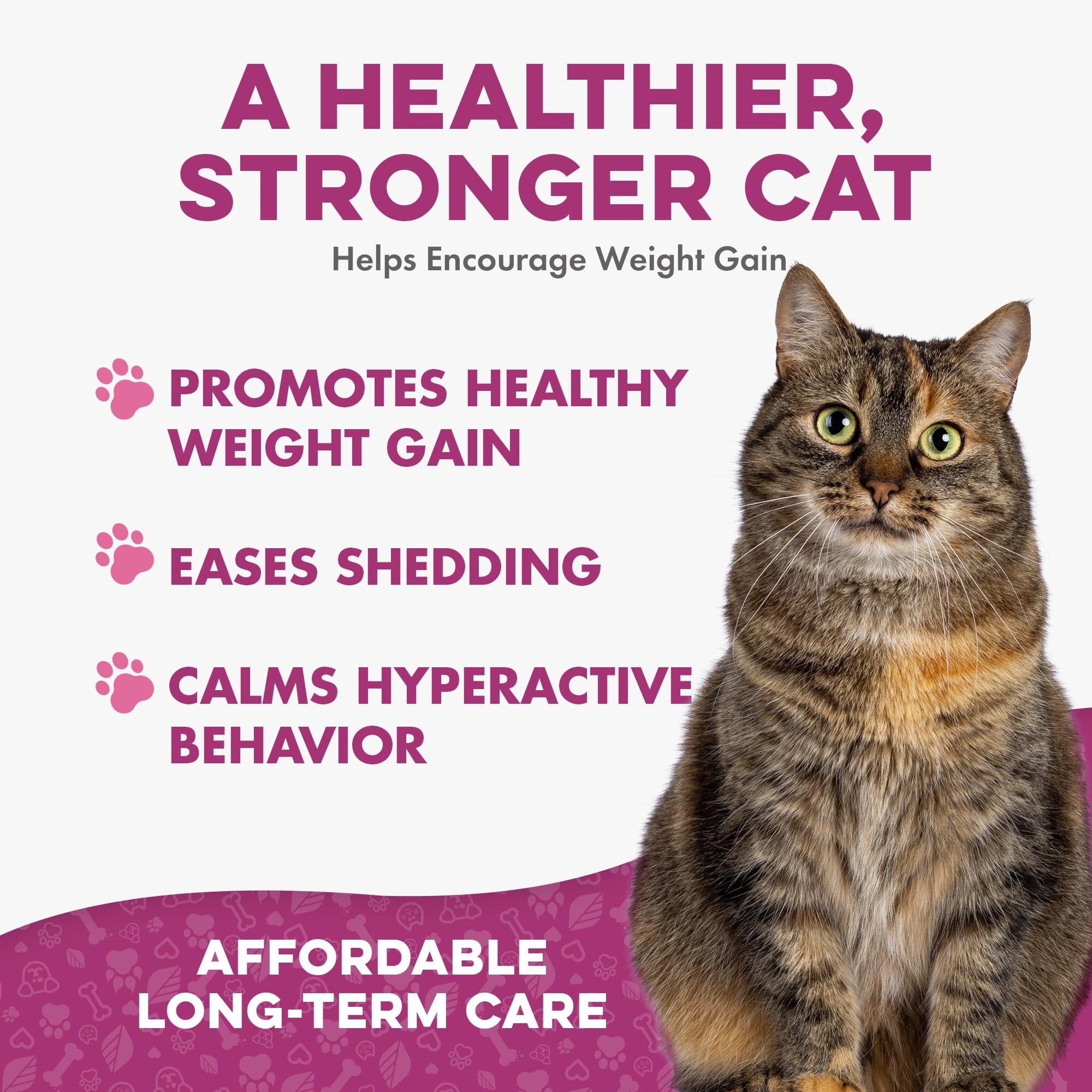 l carnitine for cats hyperthyroidism Cat Supplements for Weight Gain & Thyroid