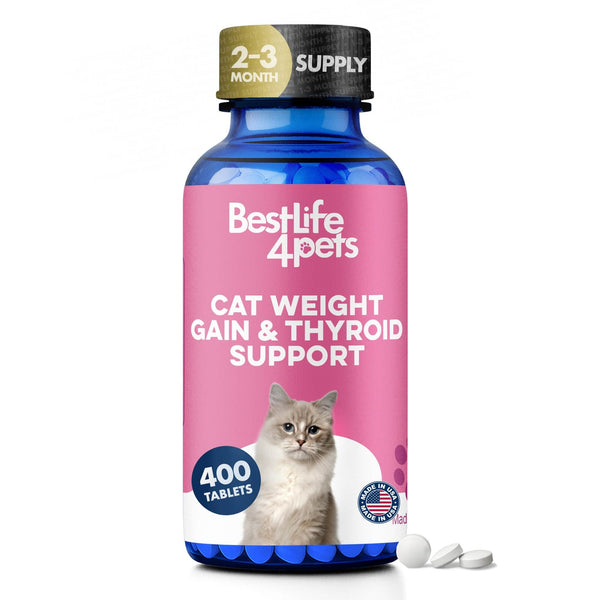 Cat Supplements for Weight Gain & Thyroid