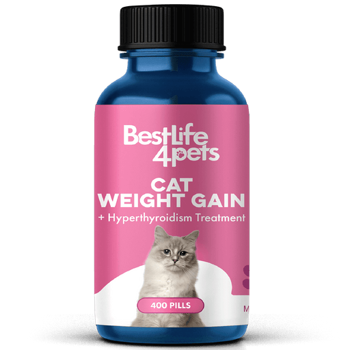 Hyperthyroidism Supplement for Cats - Treats Cat Hyperthyroid, Patchy Hair Loss, and Helps Cat Weight Gain BestLife4Pets 