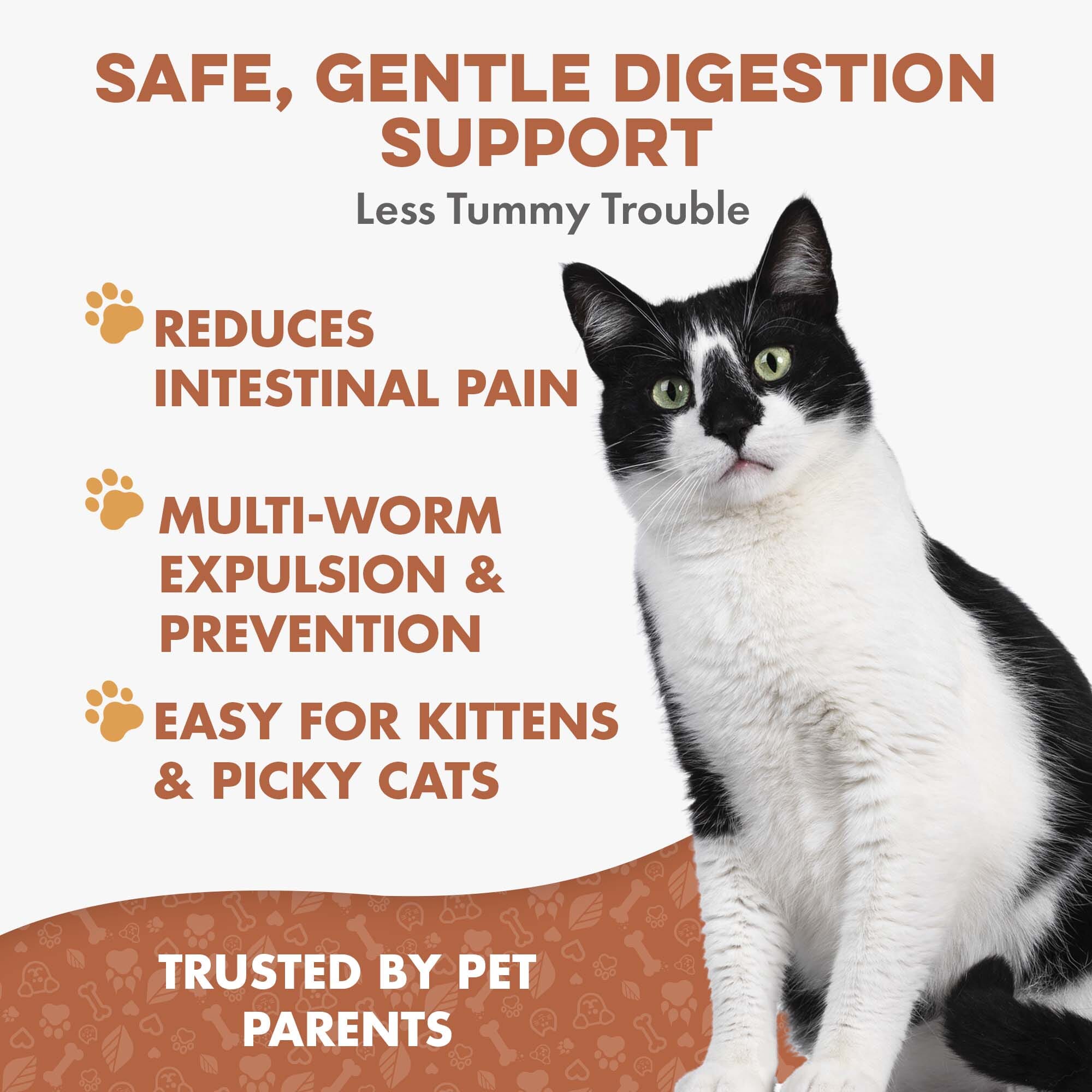 Dewormer for Cats & Kittens (Broad‑Spectrum) BestLife4Pets 