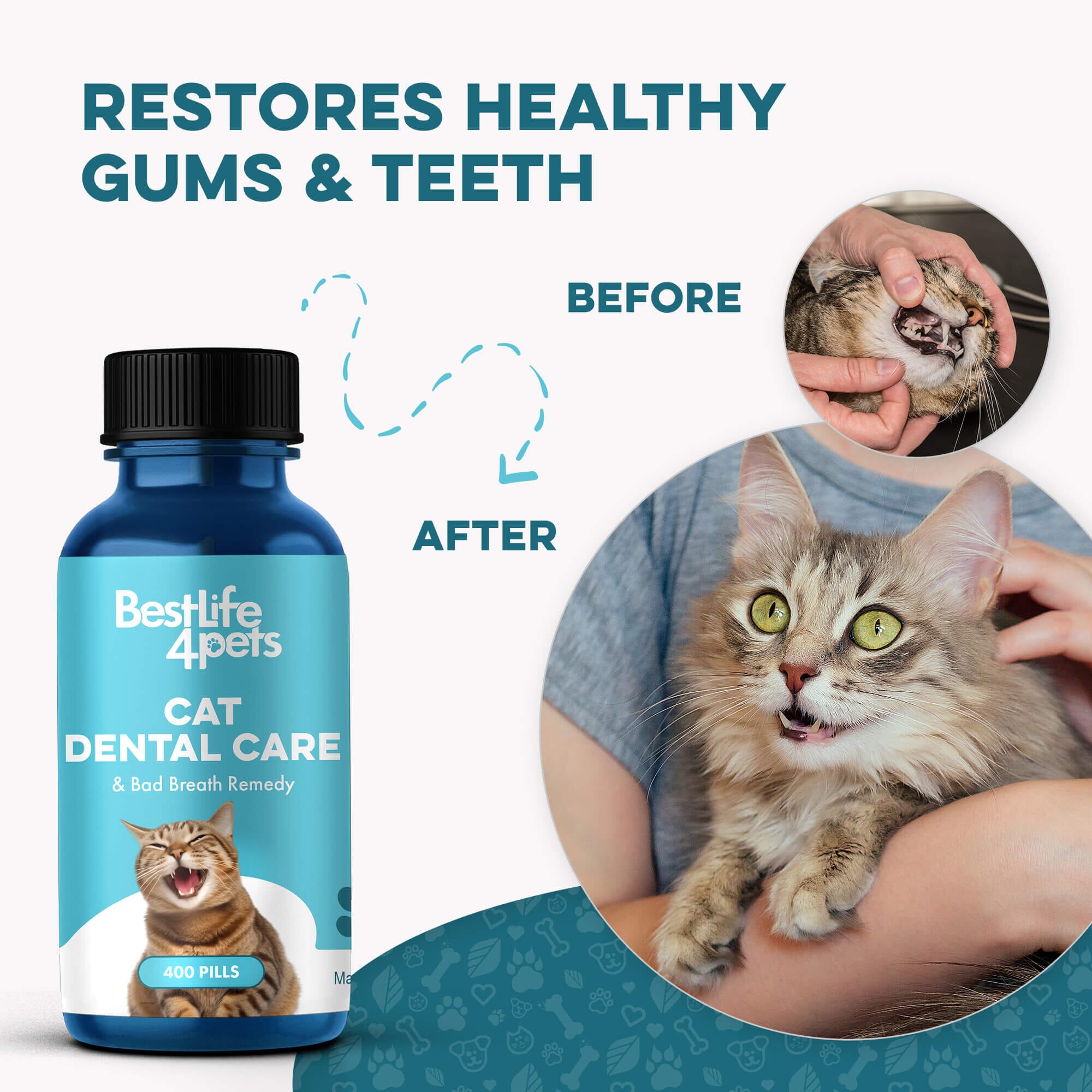 Cat Gums Healthy: Natural Dental Support for Happier Cats