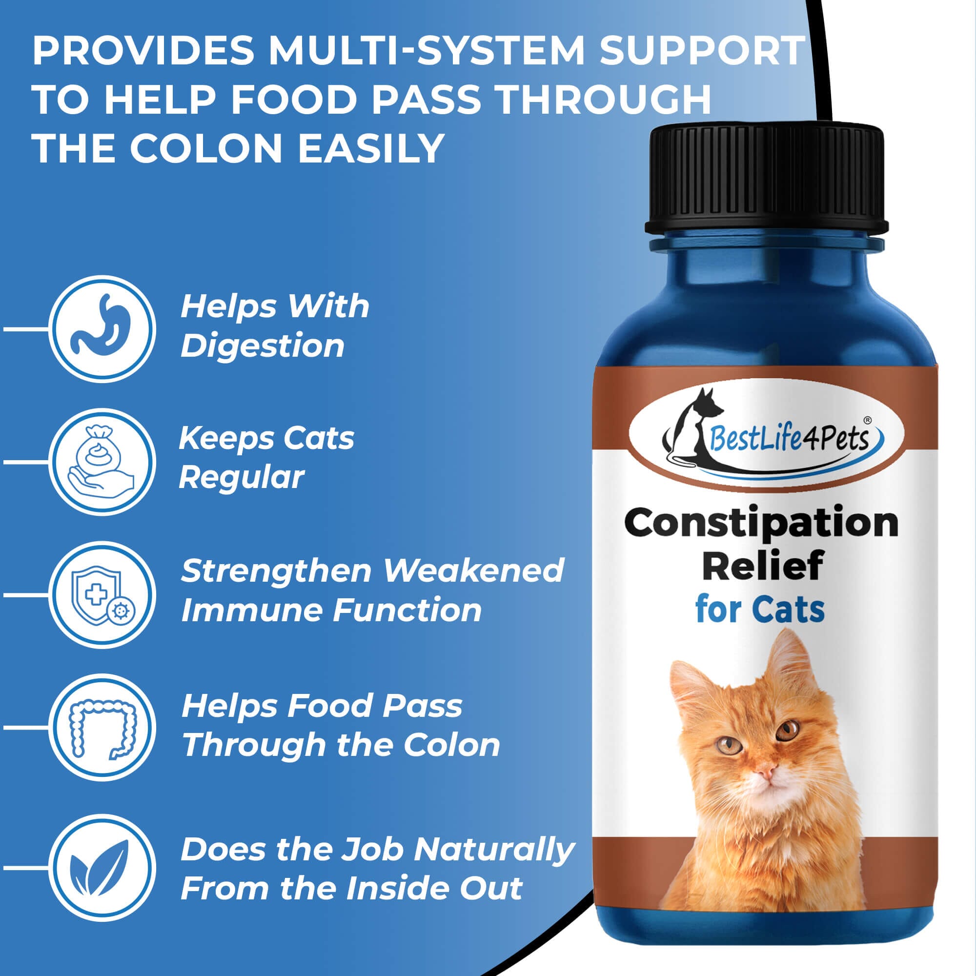 Natural Cat Laxative & Constipation Treatment // BestLife4Pets