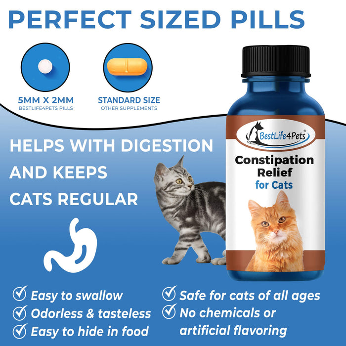 Natural Cat Laxative & Constipation Treatment