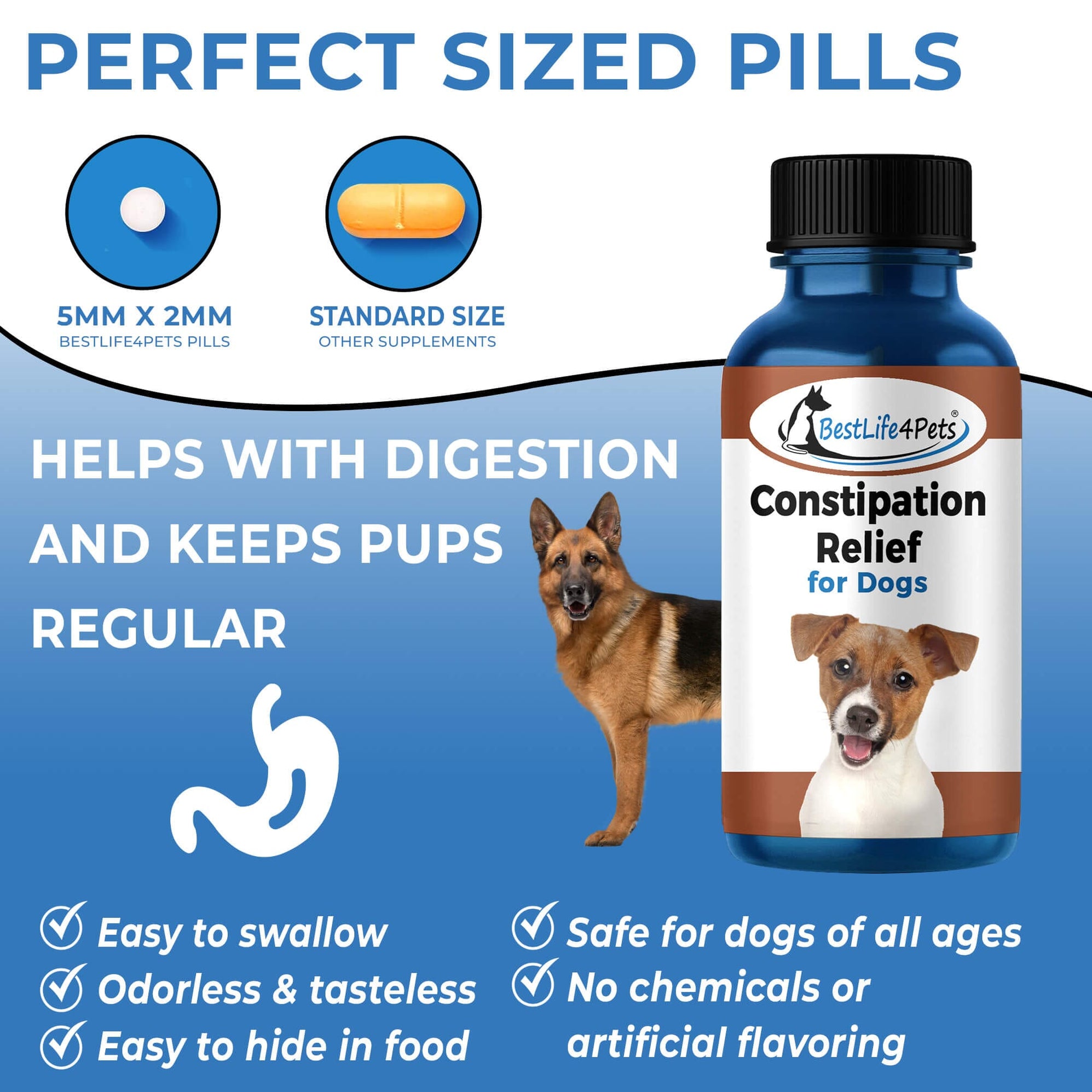 Natural Dog Laxative & Constipation Treatment // BestLife4Pets