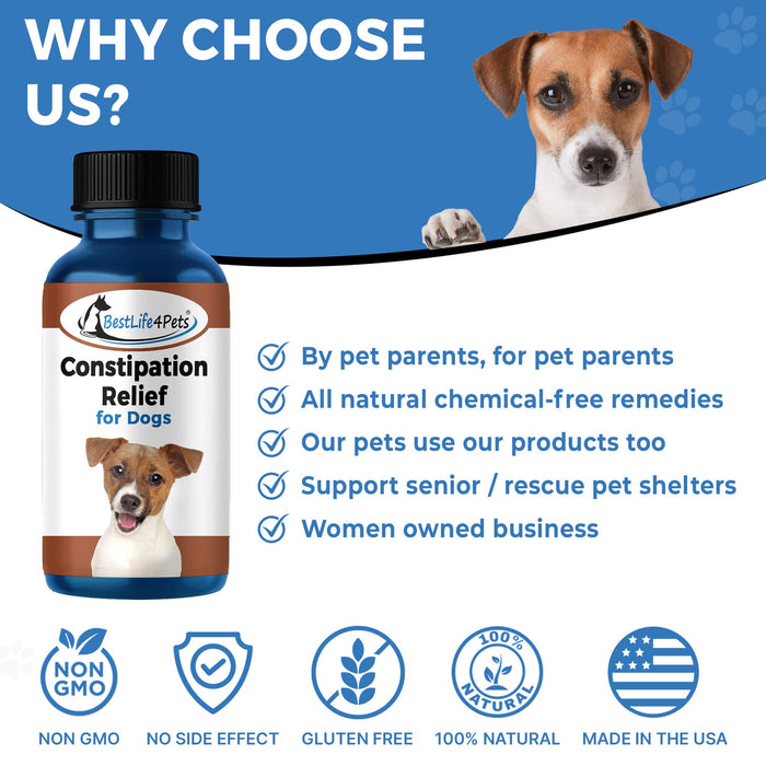 Can You Give Your Dog A Laxative