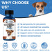 Natural Dog Laxative & Constipation Treatment