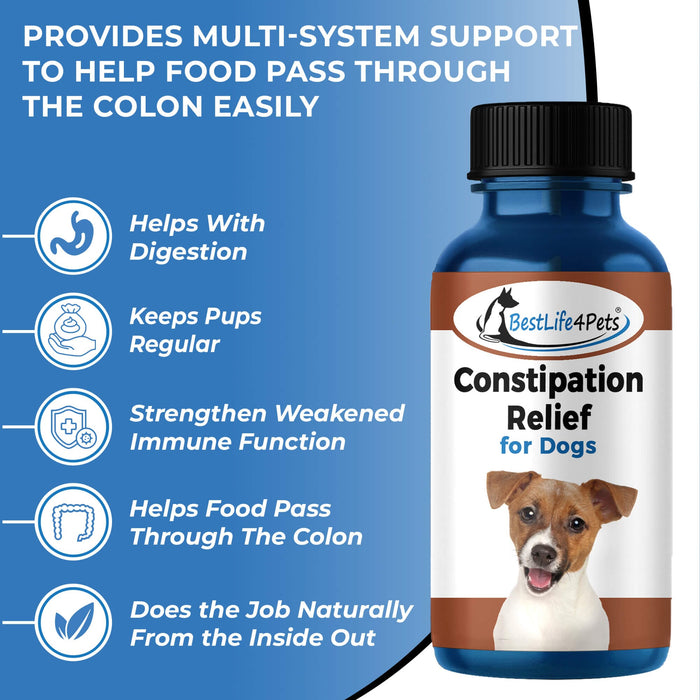Natural Dog Laxative & Constipation Treatment // Bestlife4Pets